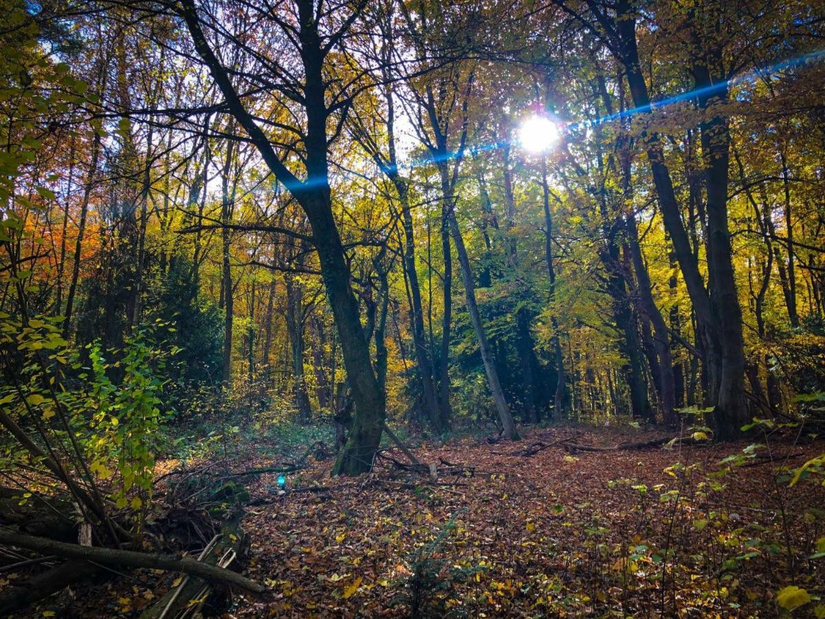 Hexenhaeuschen Dreieichenhain Exteriör bild
